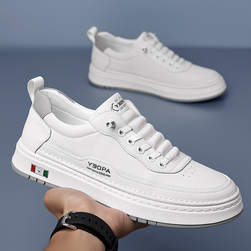 Lucetti | Baskets en cuir